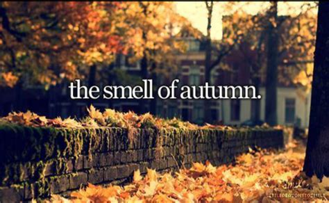 Beautiful Fall Day Quotes Quotesgram