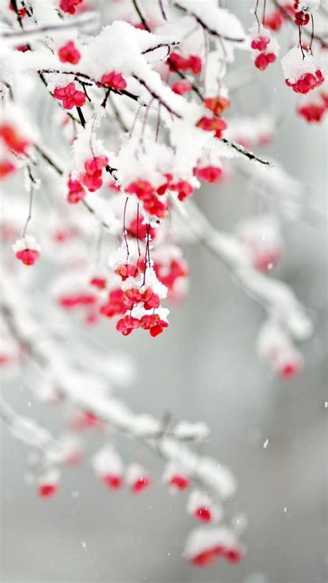 Love Snow Iphone Wallpaper Winter Winter Wallpaper