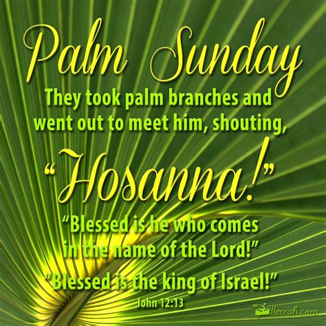 Palm Sunday They Took Palm Branches And Went Out To Meet Him