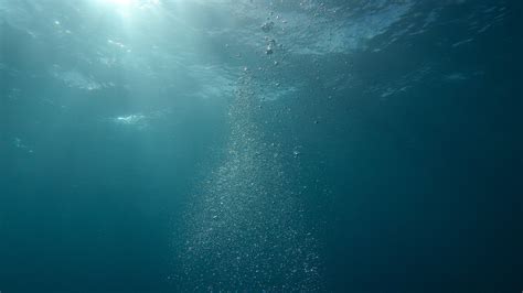 Underwater Sunlight Wallpaper