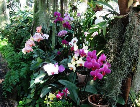 30 Beautiful Ideas For Exotic Garden Design And Backyard