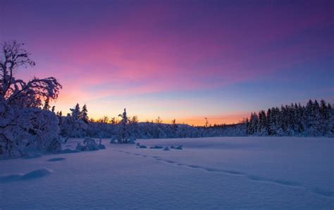Norway Winter Snow Sunset Trees Wallpapers