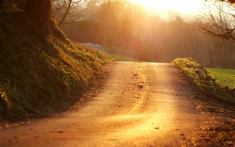 Road Beside Trees Painting Hd Wallpaper Wallpaper Flare