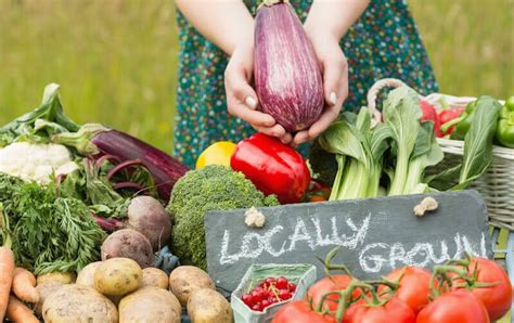 Sustainable Food Sources 6 Characteristics That Prove The Truth
