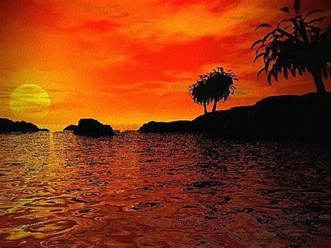 Tropical Sunset Digital Art By Norma Jean Lipert Fine Art America