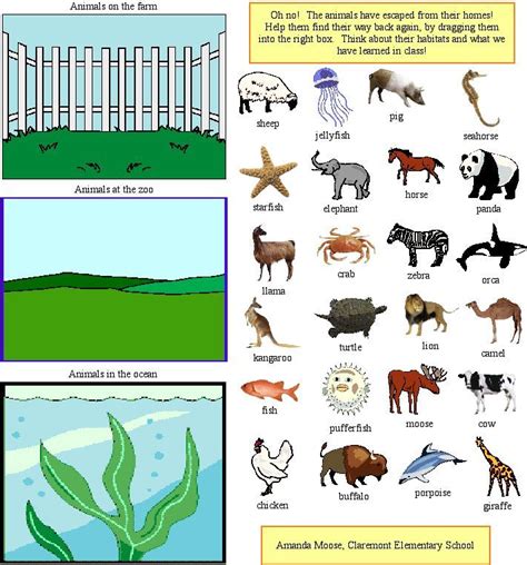 Classification Of Animals Worksheets For Kindergarten Worksheet