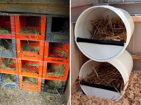 The Best Creative And Easy DIY Chicken Coops You Need In Your Backyard No Chicken Coop Diy