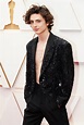 Timothée Chalamet a torso nudo sul red carpet degli Oscar 2022 | Vogue ...