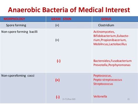 Anaerobic Bacteriology