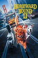 Homeward Bound II: Lost in San Francisco (1996) - Posters — The Movie ...