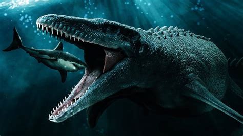 Hypothetically What If The Mosasaurus Was Still Alive Quora