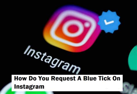 How To Verify Instagram Account In 6 Easy Steps For 2024