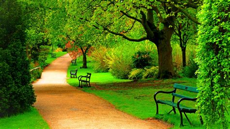 Free Download Green Park Trees Nature Beautiful Day Hd Wallpaper 1871