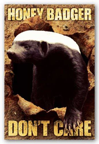 Honey Badger Dont Care Art Print Poster Uk Kitchen And Home