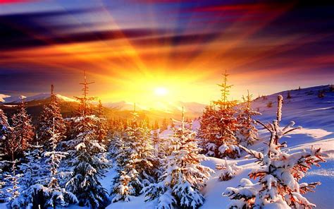 The Mountains Winter Spruce Mountains Snow Sunset Winter Hd