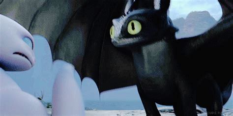 Httyd3  By 💗🌸~light Fury~🌸💗