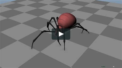 Spider Walk Cycle V02 Animation Reference Animation Cycle