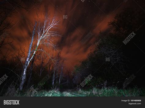 Gloomy Horror Night Sky Over Tree Image And Photo Bigstock