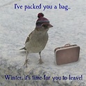 109 best Winter Go Away images on Pinterest | Funny stuff, Xmas and ...