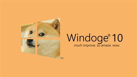 Microsoft Windows Windows 10 Doge Dog Memes Wallpapers Hd Desktop And