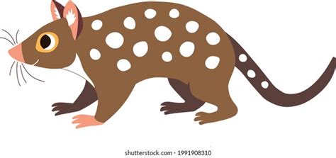 90 Spotted Tail Quoll Gambar Foto Stok And Vektor Shutterstock