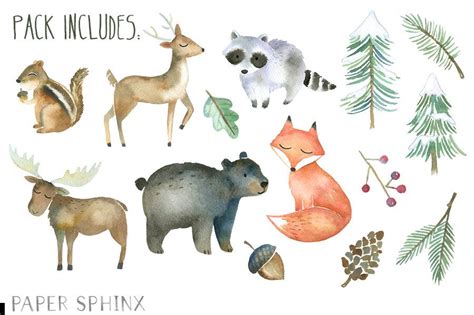 Watercolor Woodland Animals Clipart 10 Free Cliparts Download Images