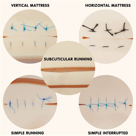 Buy Online Best Quality Suture Kit Suture Practice Kit With Various