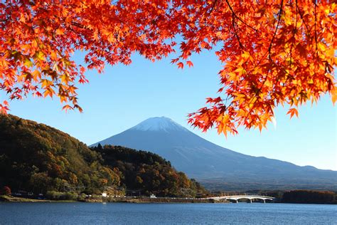 Japan Mount Fuji Sky Lake Tree Leaves Autumn Bridge Hd