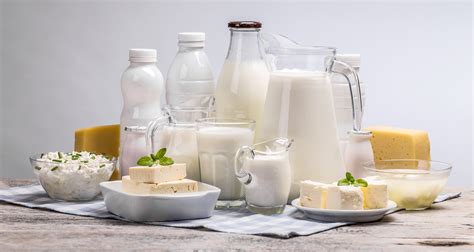 Les produits laitiers, nos alliés santé ! | INRAE INSTIT