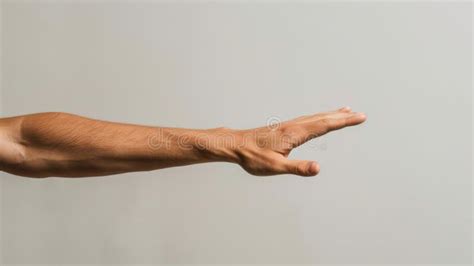 Mans Arm And Arm With White Background Stock Photo Image Of Equality