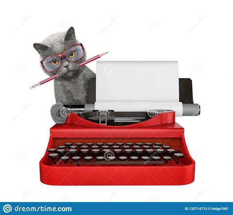 Cute Cat Is Typing On A Typewriter Keyboard Isolated On