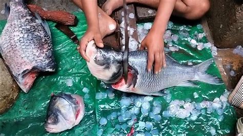 Amazing Fish Cutting Skills Two Katla Fish Cutting In Kolkata Fish
