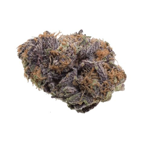 I dream a lot and i put a lot of my dreams down as songs. Buy Purple Haze Strain Online - Canna Kush Dispensary