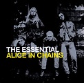 Alice In Chains – The Essential Alice In Chains (2010, CD) - Discogs
