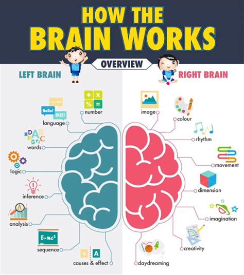 How Our Brain Works 9gag