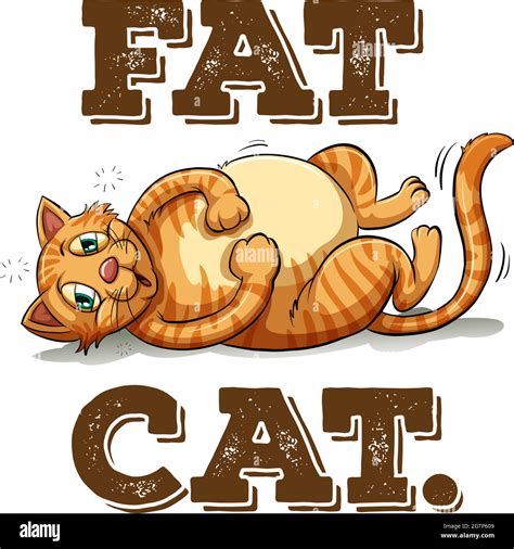 fat ginger cat stock vector images alamy