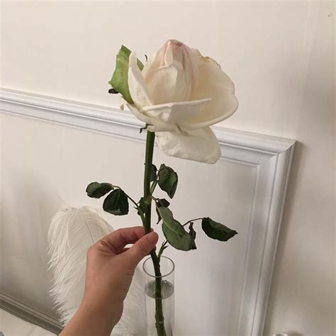 Browse the user profile and get inspired. imgur.com | White roses, Aesthetic roses, Flowers