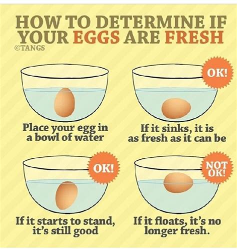 How To Test If Eggs Are Still Fresh Artofit