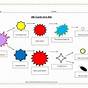 Graphic Organizer Life Cycle Of A Star Worksheet