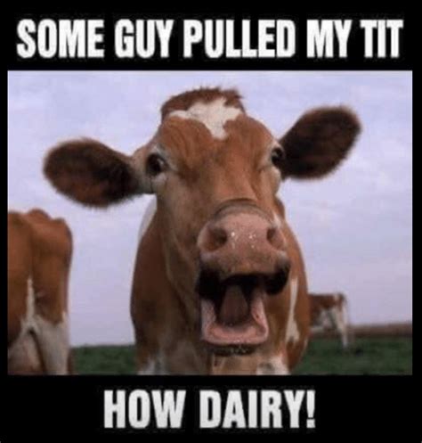 47 Hilarious Dairy Puns Punstoppable 🛑