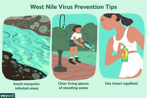 Was Ist Das West Nil Virus Medde