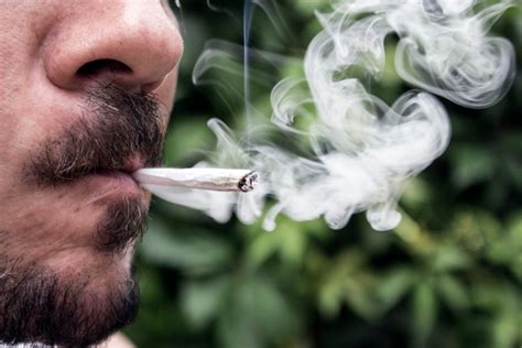 Fumar Marihuana A Diario Aumenta Riesgo De Psicosis Concluye Reporte