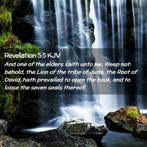 Revelation 55 Kjv And One Of The Elders Saith Unto Me Weep Not