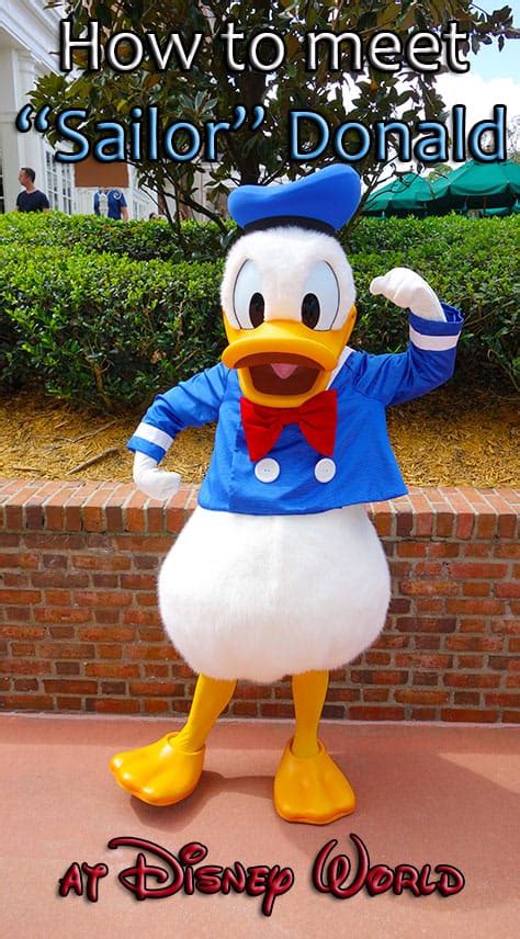 How To Meet Sailor Donald Duck At Walt Disney World