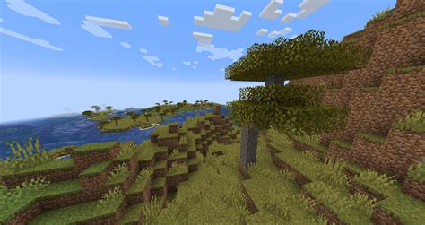 Acacia Tree Minecraft