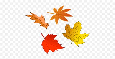 Autumn Leaves Selection Vector Image Falling Leaf Clipart Emoji