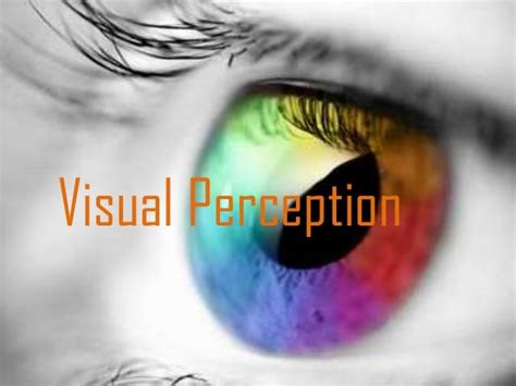 Psychology Visual Perception 3 By Janice Fung