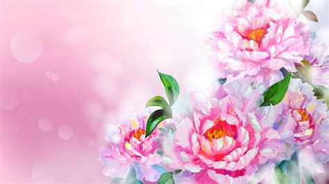 Peony Desktop Wallpapers Top Free Peony Desktop Backgrounds