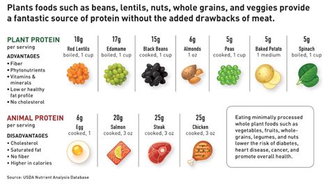 The Breakdown Of Animal And Plant Proteins Benefits And Risks Local