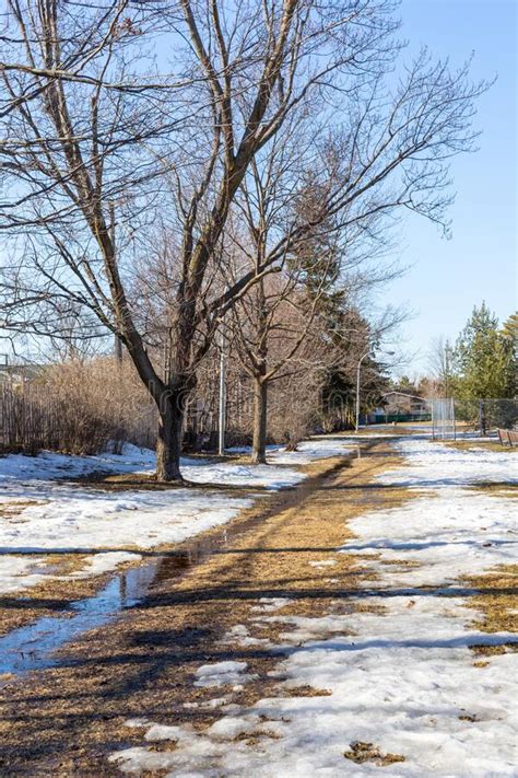 Spring In The Park With Melting Snow On The Ground Stock Photo Image